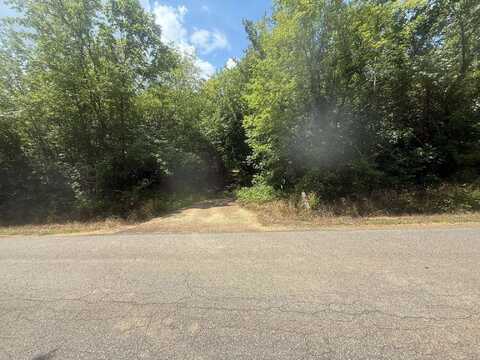 TRACT 4 COFFEE LANDING, Savannah, TN 38372