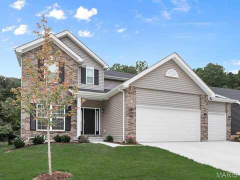 576 Evening Primrose Drive, Wentzville, MO 63385