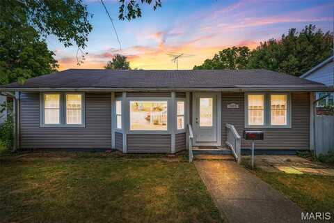 503 Bonnie Street, Potosi, MO 63664