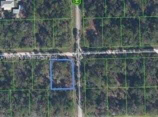 1001 Hummingbird, Lake Placid, FL 33825