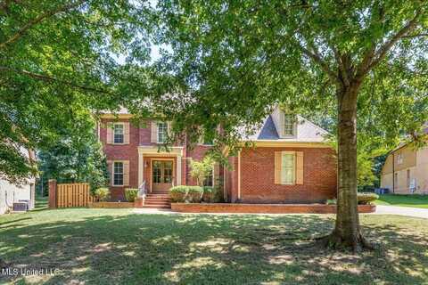 4788 Bon Jour Drive, Nesbit, MS 38651