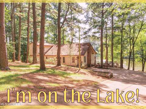 5344 Kahuna Cove, Hernando, MS 38632