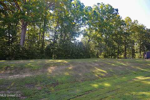 155 Oak Ridge Lakes Drive, Coldwater, MS 38618
