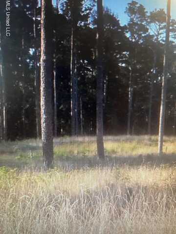 Apollo Way, Canton, MS 39046
