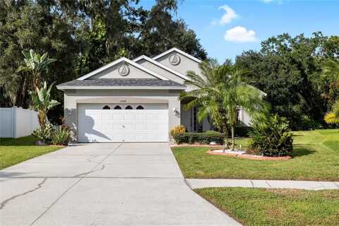 15934 STAGS LEAP DRIVE, LUTZ, FL 33559