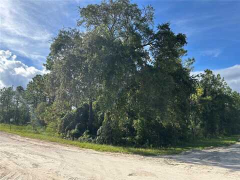 Tbd NE 134TH COURT, WILLISTON, FL 32696