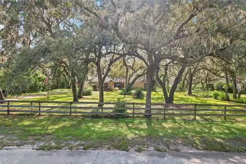 11512 RAULERSON ROAD, LITHIA, FL 33547