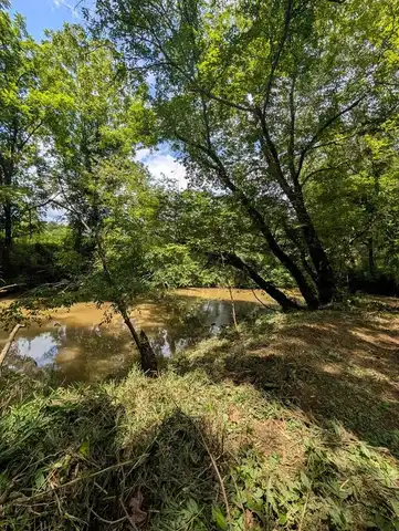 1.0 Ac Old Hwy 64 W, WARNE, NC 28909
