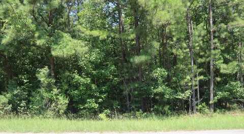 121 Locust Ct, Milledgeville, GA 31061