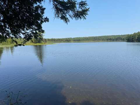3 Steam Ml Road, Robbinston, ME 04671