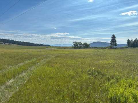 699 Morning View Drive, Kalispell, MT 59901