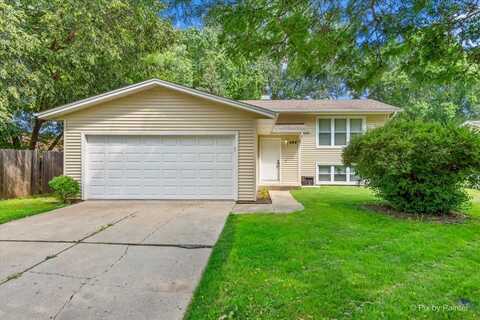485 N Airlite Street, Elgin, IL 60123