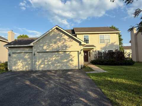 206 CHRISTINE Way, Bolingbrook, IL 60440