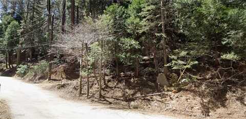 0 Community Drive, Lake Arrowhead, CA 92352