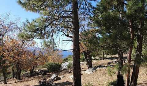 24610 Highway 243, Idyllwild, CA 92549