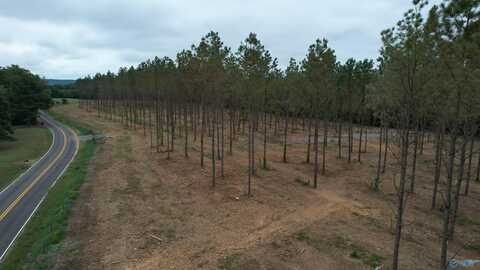 6.6 Acres Mount Nebo Road, Falkville, AL 35622