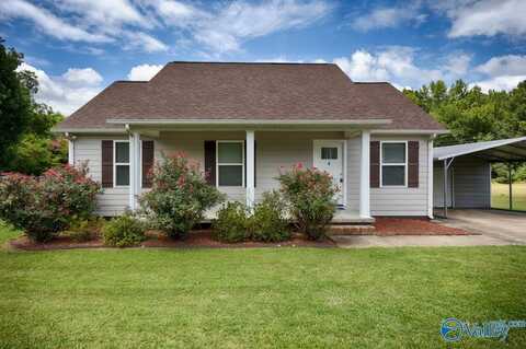 30619 Highway 110, Ardmore, TN 38449