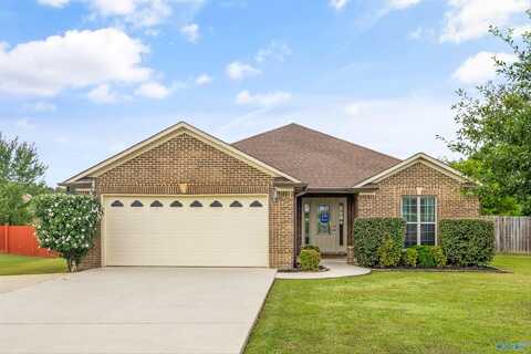 21243 Barley Terrace Drive, Elkmont, AL 35620