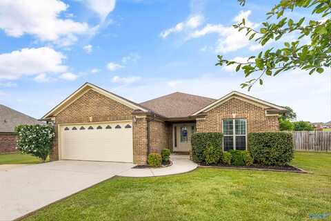 21243 Barley Terrace Drive, Elkmont, AL 35620