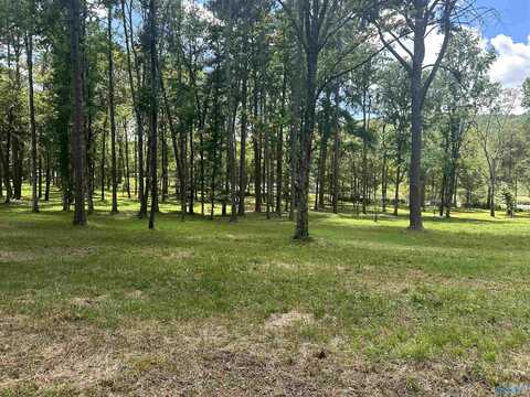 321 Carlton Road, Scottsboro, AL 35769
