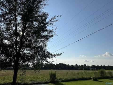 640 N N Johnson Chapel Road N, Danville, AL 35619
