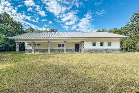 418 DOGWOOD RIDGE TERRACE, Yellville, AR 72687