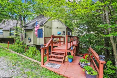 115 Grizzly Way, Davis, WV 26260