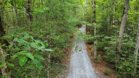 Hwy 60, Mineral Bluff, GA 30559