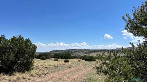 141 Deer Circle Road, Quemado, NM 87829