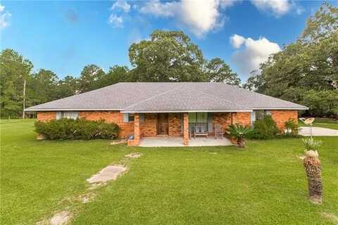31397 TOM WOODARD Road, Angie, LA 70426