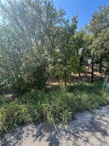 Tbd Sam Houston, Mineral Wells, TX 76067