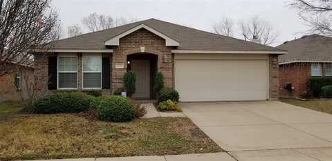 12732 Northern Pine Drive, Fort Worth, TX 76244