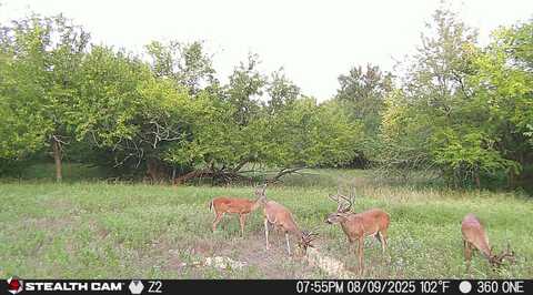 0 US Hwy 270, Hartshorne, OK 74547