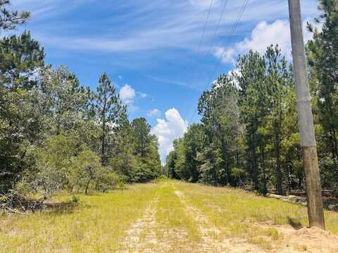 0 Moores Chapel Road Tract 2, Mauk, GA 31058