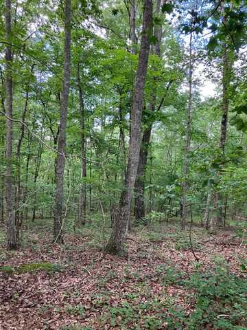 0 Co rd 10, Montevallo, AL 35115