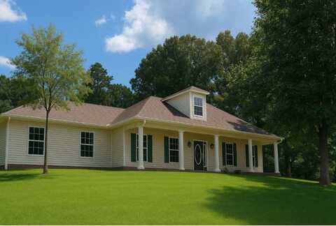 770 Gillon Rd, Grenada, MS 38901