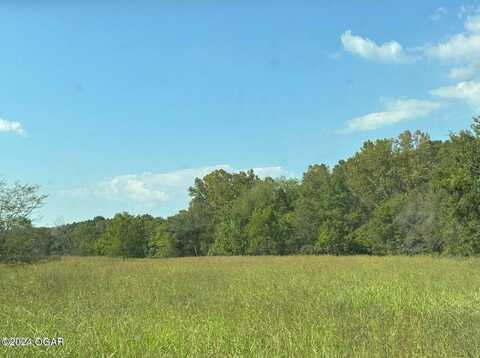 000 Spring Flood Road, Goodman, MO 64843