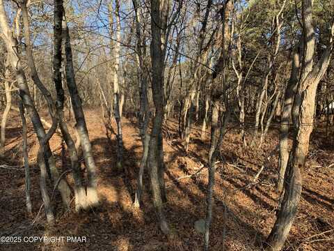1491 Chippewa Trail, Albrightsville, PA 18210