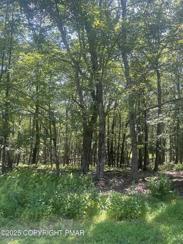 315 Doe Loop, Bushkill, PA 18324