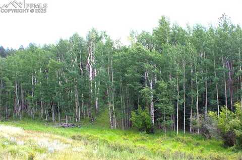 344 Grey Eagle Drive, Cripple Creek, CO 80814