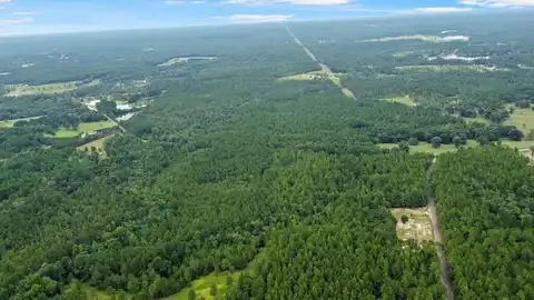 00 Silver Run-Progress Rd, Perkinston, MS 39573