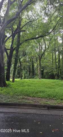 Tbd Ashley Street, Rockingham, NC 28379