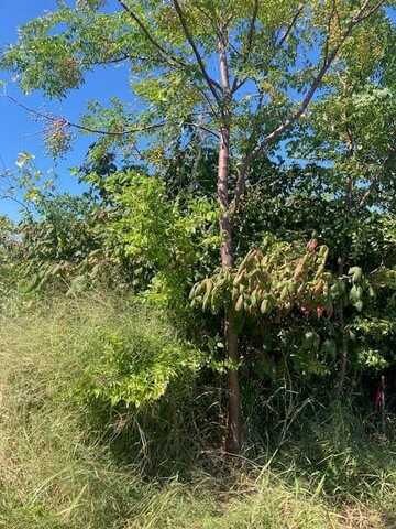 1702 FM 1781 (Tedford Lane), ROCKPORT, TX 78382