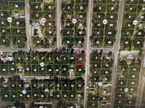 3630 W Galleon Street, Dunnellon, FL 34433