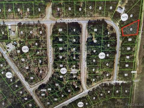 1547 W Magenta Drive, Citrus Springs, FL 34434