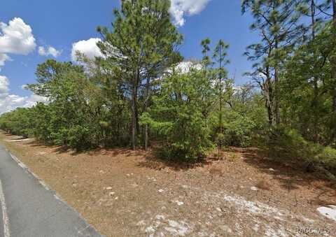2441 N Sheriff Drive, Beverly Hills, FL 34465