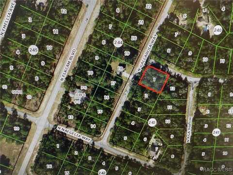 9641 N Gaillardia Way, Citrus Springs, FL 34434