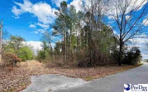Lot 37 Berry Road, Latta, SC 29565