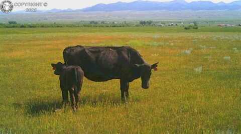Lot 2 County Road 119, Westcliffe, CO 81252