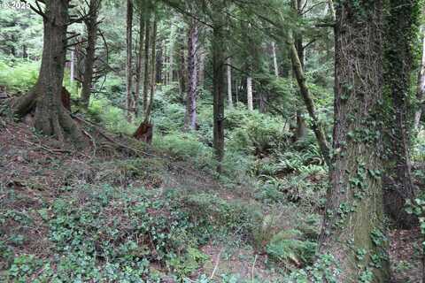 Picture Windw Lane, Arch Cape, OR 97102
